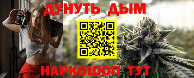 гашик Новодвинск
