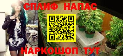гашик Новодвинск