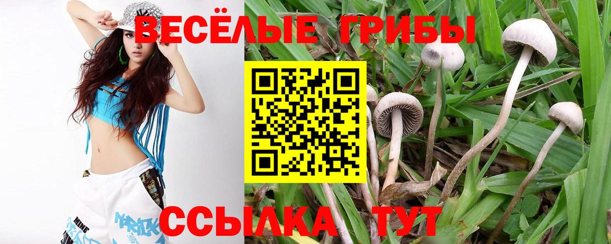 Галлюциногенные грибы мицелий  Псилоцибиновые грибы MAGIC MUSHROOMS  Вход с VPN  Обнинск 
